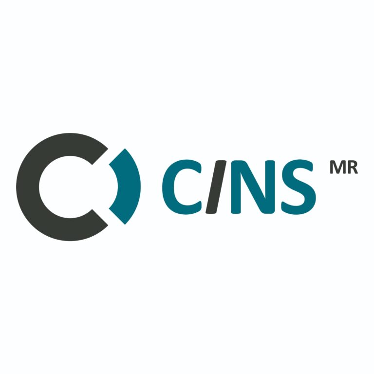 cins2-1.jpeg